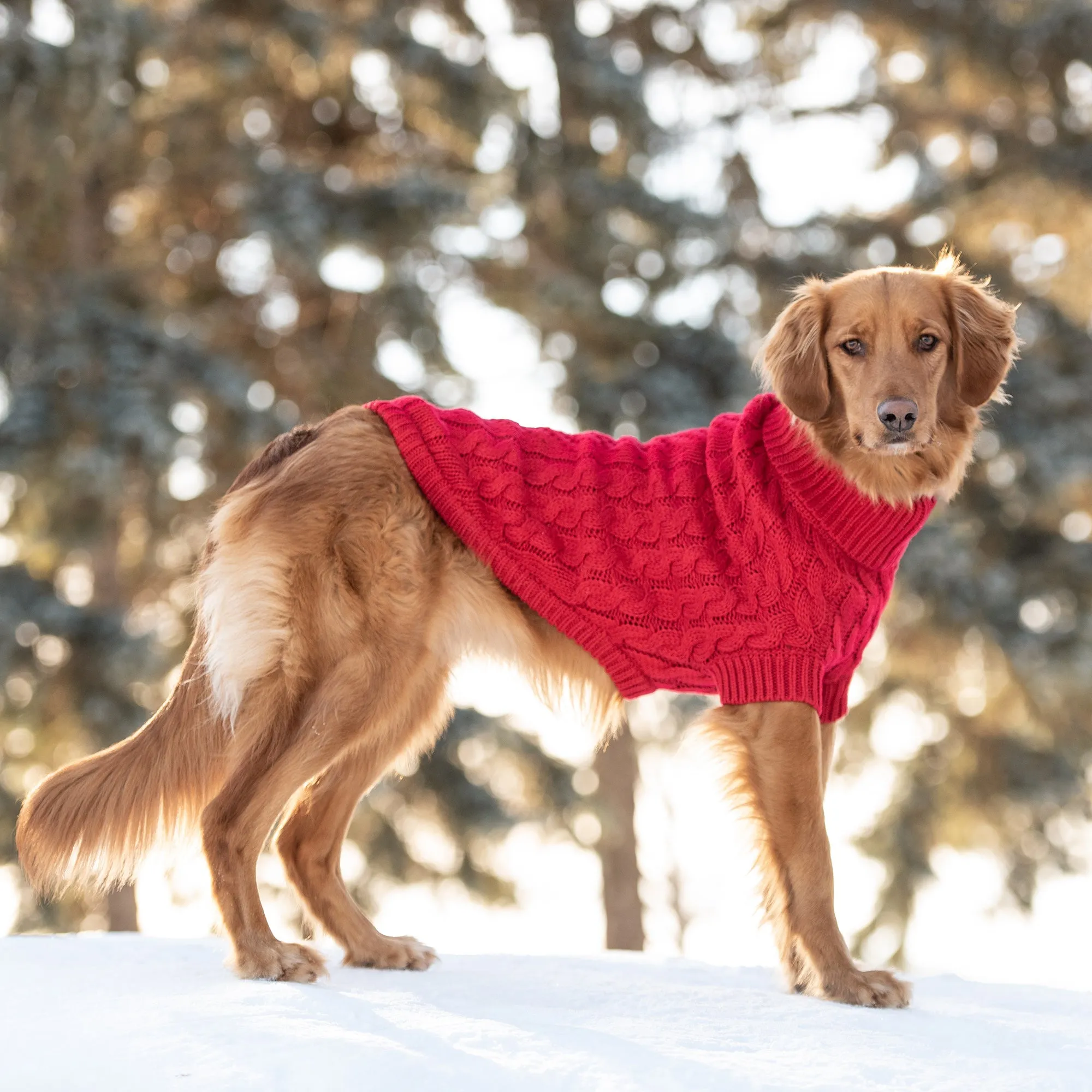 Cozy Chalet Dog Sweater - Red Knit Turtleneck Pet Apparel